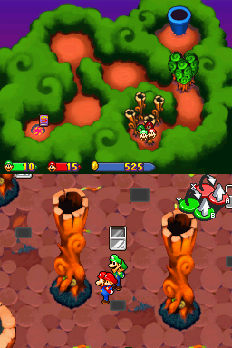 Toadwood Forest