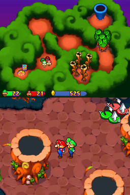 Toadwood Forest
