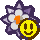Pity Flower P