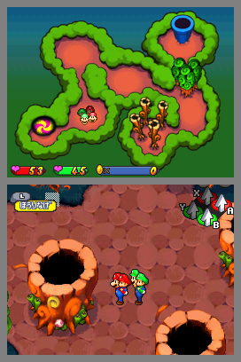 Toadwood Forest