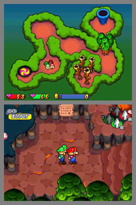 Toadwood Forest