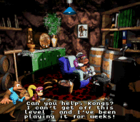 DKC3 screen shot
