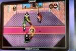Mario & Luigi